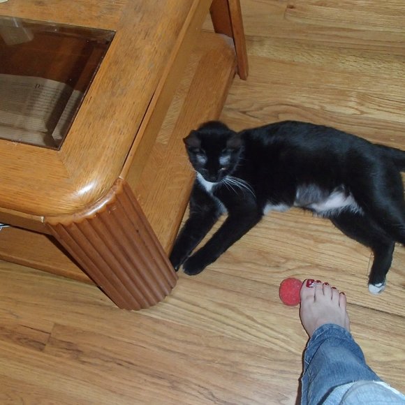 Share My Items And I Will Share Yours - Picture 3 of 7